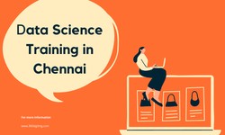 Career Prospects Post Data Scientist Course Completion in Chennai