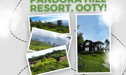 Nature resort in ooty