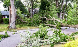 How Should Storm Damage Cleanup Be Handled?