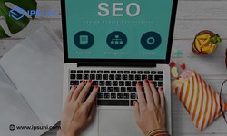 Why You Need SEO Training From IPS UNI