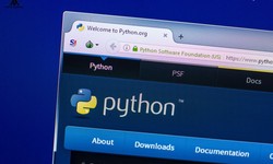 Finding the Optimal Moment to Enroll in an Online Python Coaching Course