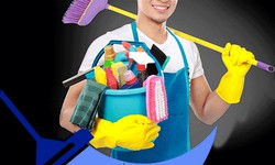 What is the rate for house cleaning in Canada?