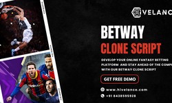 Launch Your Own Online Casino and Betting Platform Like Betway
