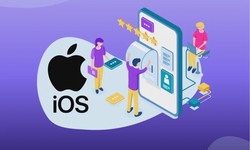 Best iOS App Development  Companies in India (2024)