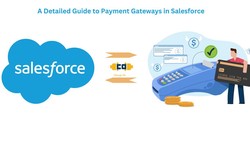 A Detailed Guide to Payment Gateways in Salesforce