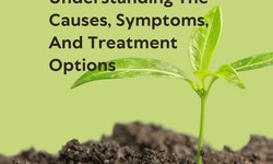 5 Paddy Diseases: Understanding The Causes, Symptoms, And Treatment Options