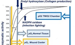 The Healing Power of Topical Hyperbaric Oxygen Therapy in Diabetes Wound Care!