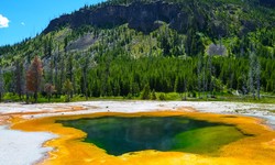 Exploring Yellowstone: Your Ultimate Guide to the Top 10 Must-Do Activities