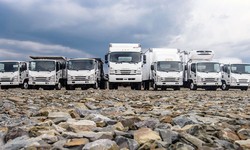 Top Picks: The Most Popular Models of Used Isuzu Trucks 2024