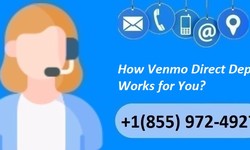 How Venmo Direct Deposit Works for You?