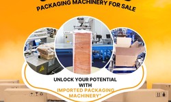 Your Ultimate Guide to Buying a Used Automatic Pouch Packing Machine