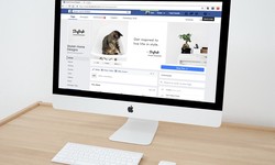 Building Brand Presence: The Power of Facebook Business Pages