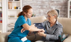 What are the top reasons that you should consider the caregiver as a profession?