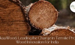 RitikaaWood: Leading the Charge in Termite Proof Wood Innovation for India