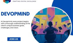 Crafting Excellence Devopmind's Approach to Custom Web App Development
