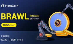 BitBrawl (BRAWL) Project Research Report: Solana Blockchain Gaming Rookie