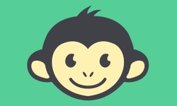 Employee Engagement Vendors: Transforming Company Culture with CultureMonkey