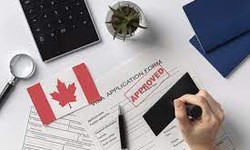 The Role of an Immigration Lawyer in Your Quebec Journey