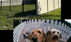 Enriching Your Space: The Art of Selecting and Maintaining Your Home Improvement Fence