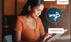 How myBridge.me Helps with What Professionals Really Want