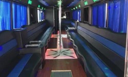 Arrive in Style: Elevate Your Experience with Premier Limo Service