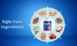 Sight Care Supplement Reviews (Reddit Report) Nurturing Optimal Eye Health through Sight Care Practices