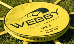 Boost agility and speed with the webby mini agility ladder