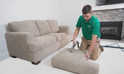 Which Sofa Cleaning Method Reigns Supreme in Drummoyne?