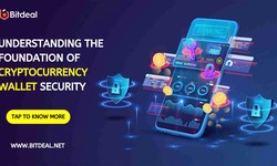 Understanding the Foundation of Cryptocurrency Wallet Security