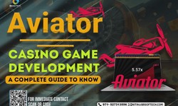 How To Choose The Best Aviator Casino Game Development Company?