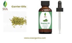 High-Quality Organic Carrier Oils in Bulk