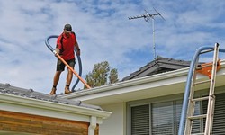 How to Spot Signs of Roof Damage in Portland and When to Clean