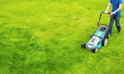 Lawn Looking Lackluster? Tame the Turf with City Junk & Gardening's Grass Cutting Cavalry