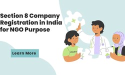 Section 8 Company Registration in India for NGO Purpose