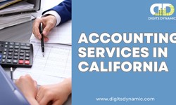 Elevating Financial Management Digits Dynamic's Accounting Services in California