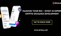 Maximize Your ROI: Invest in Expert Crypto Exchange Development