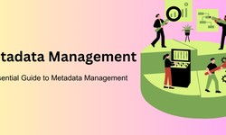Essential Guide to Metadata Management