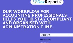 Workflow for accounting professionals - GovReports