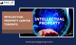 PNC IP Group's Premier Intellectual Property Lawyers in Toronto