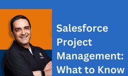 Salesforce Project Management: What to Know