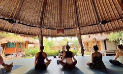 The Ultimate Guide to Bali Yoga Retreats for USA Yogis