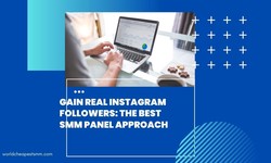 Gain Real Instagram Followers: The Best SMM Panel Approach