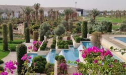 How to Choose and Install Softscape Elements for Landscaping in Saudi Arabia