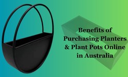 Benefits of Purchasing Planters & Plant Pots Online in Australia