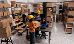Navigating the Warehouse: A Comprehensive Guide to WMS