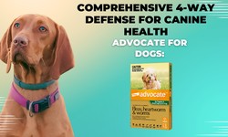 Advocate for Dogs: Comprehensive 4-Way Defense for Canine Health