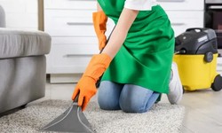 The Complete Guide to Effective Carpet Cleaning Methods
