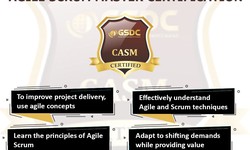 How Important is Agile Scrum Master Certification