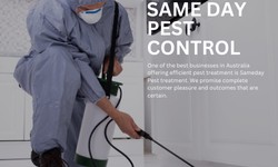 Pest Control Services in Footscray: Keeping Your Home and Business Safe