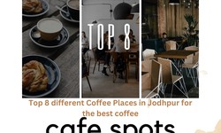 Top 8 different Coffee Places in Jodhpur for the best coffee - with rajwada cab
